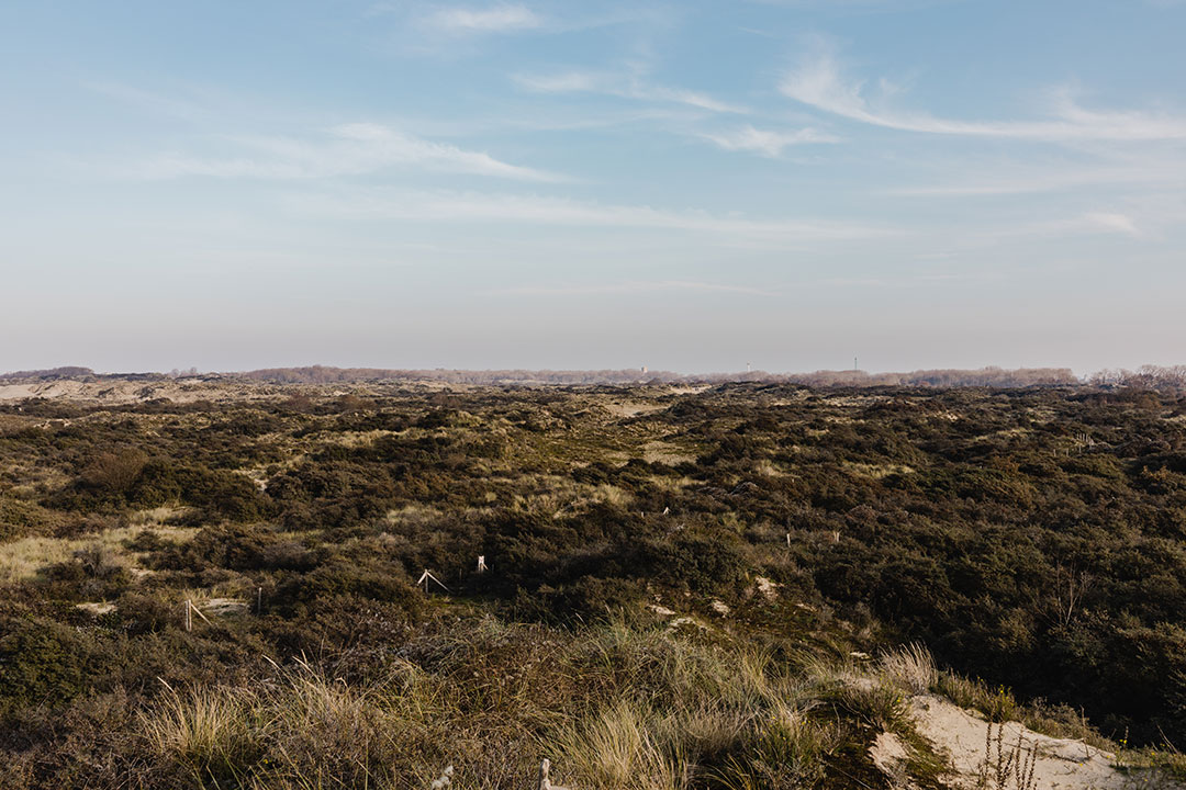 Nature Reserve of Westhoek